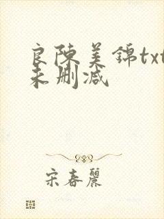 良陈美锦txt未删减