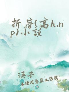 折磨(高h,np)小说