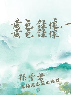 黄色录像,一级黄色录像