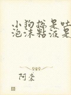 小狗总是吐白色泡沫粘液是怎么回事