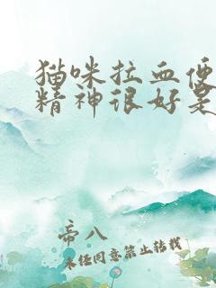 猫咪拉血便血但精神很好是怎么回事怎么办