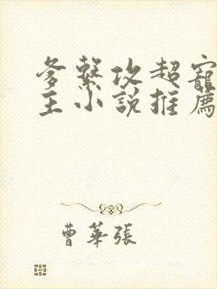 爹系攻超宠双男主小说推荐