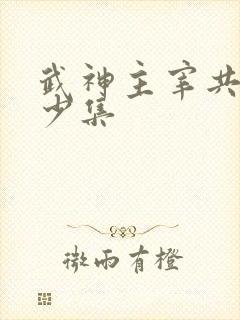 武神主宰共计多少集