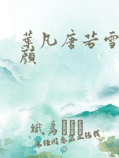 叶凡唐若雪宋红颜