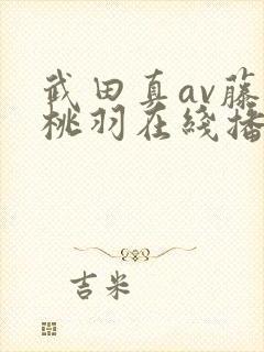 武田真av藤白桃羽在线播放