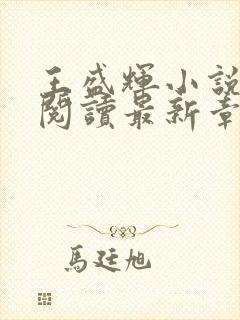 王盛辉小说免费阅读最新章节更新