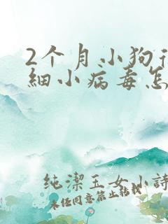 2个月小狗得了细小病毒怎么办