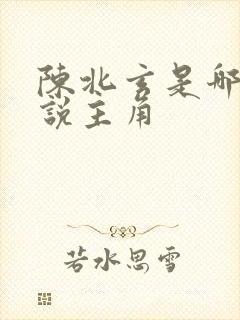 陈北玄是哪部小说主角