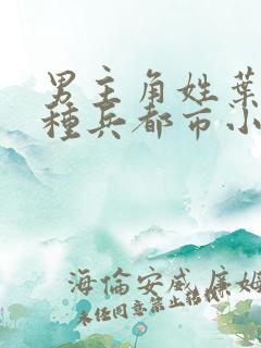 男主角姓叶的特种兵都市小说