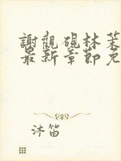 谢观砚林茉小说最新章节免费阅读全文