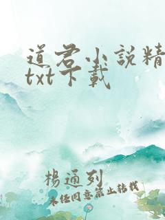 道君小说精校版txt下载