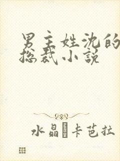 男主姓沈的霸道总裁小说