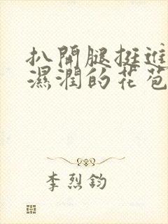 扒开腿挺进小乔湿润的花苞小说