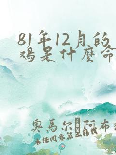 81年12月的鸡是什么命