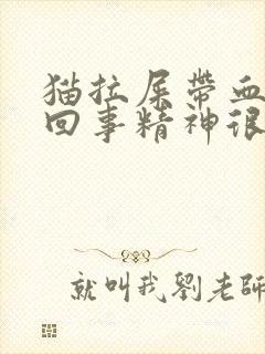 猫拉屎带血怎么回事精神很好