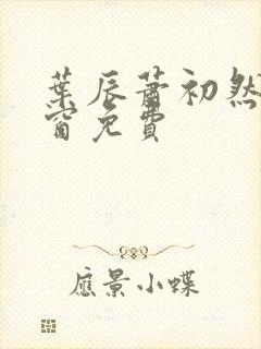 叶辰萧初然无弹窗免费