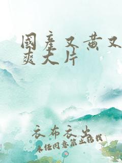 国产又黄又色又爽大片