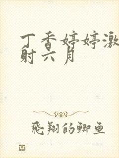 丁香婷婷激情四射六月