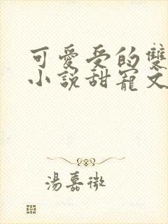 可爱受的双男主小说甜宠文