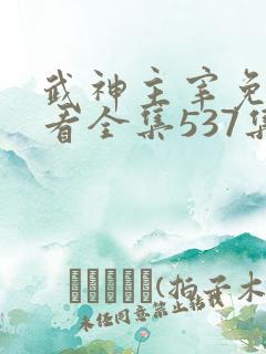 武神主宰免费观看全集537集