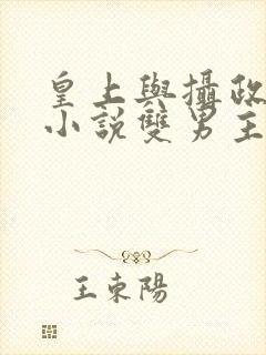 皇上与摄政王的小说双男主