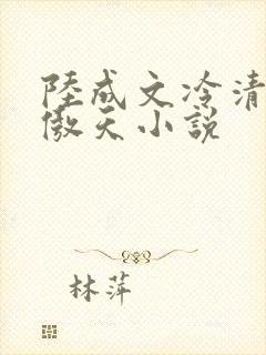 陆成文冷清秋龙傲天小说