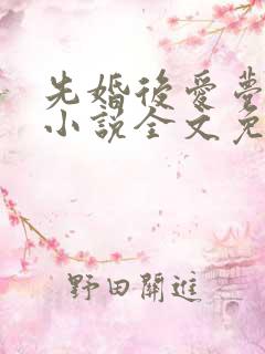 先婚后爱梦筱二小说全文免费阅读