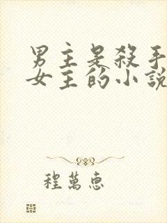 男主是杀手爱上女主的小说