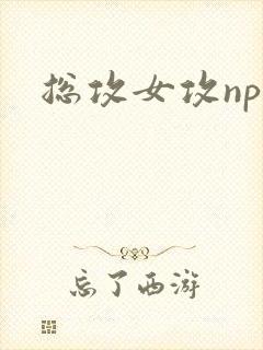 总攻女攻np