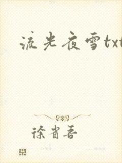流光夜雪txt