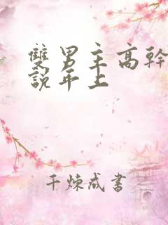 双男主高干文小说年上