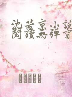 沈若京小说免费阅读无弹窗