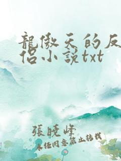 龙傲天的反派道侣小说txt