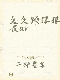 久久躁狠狠躁夜夜av