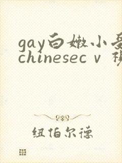 gay白嫩小受chinesecⅴ视频