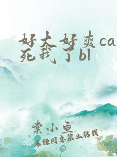好大好爽cao死我了bl
