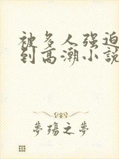 被多人强迫玩弄到高潮小说