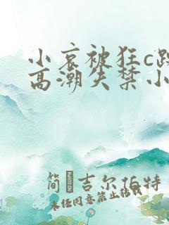 小哀被狂c躁到高潮失禁小说