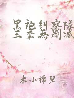 黑袍纠察队 第三季无删减