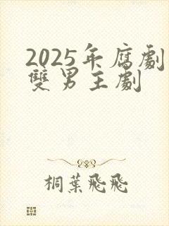 2025年腐剧双男主剧