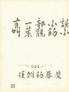 有一部小说主角叫叶观的小说