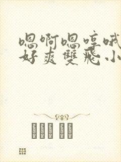 嗯啊嗯哼哦好大好爽双飞小说