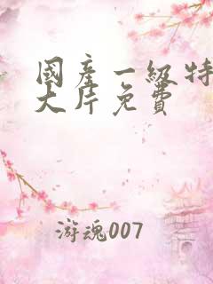 国产一级特黄a大片免费