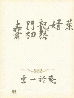 上门龙婿叶晨和萧初然