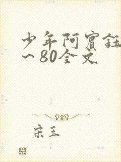 少年阿宾钰慧1～80全文