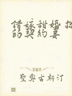 错嫁甜婚 总裁的契约妻