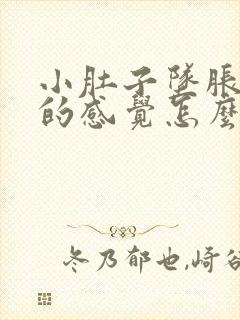 小肚子坠胀想尿的感觉怎么回事