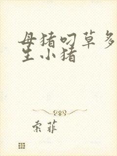 母猪叼草多久能生小猪