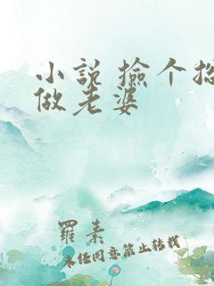 小说 捡个总裁做老婆