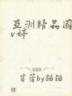 亚洲精品国产av婷